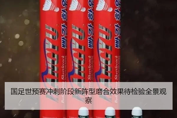 国足世预赛冲刺阶段新阵型磨合效果待检验全景观察